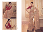 Netted organza work saree